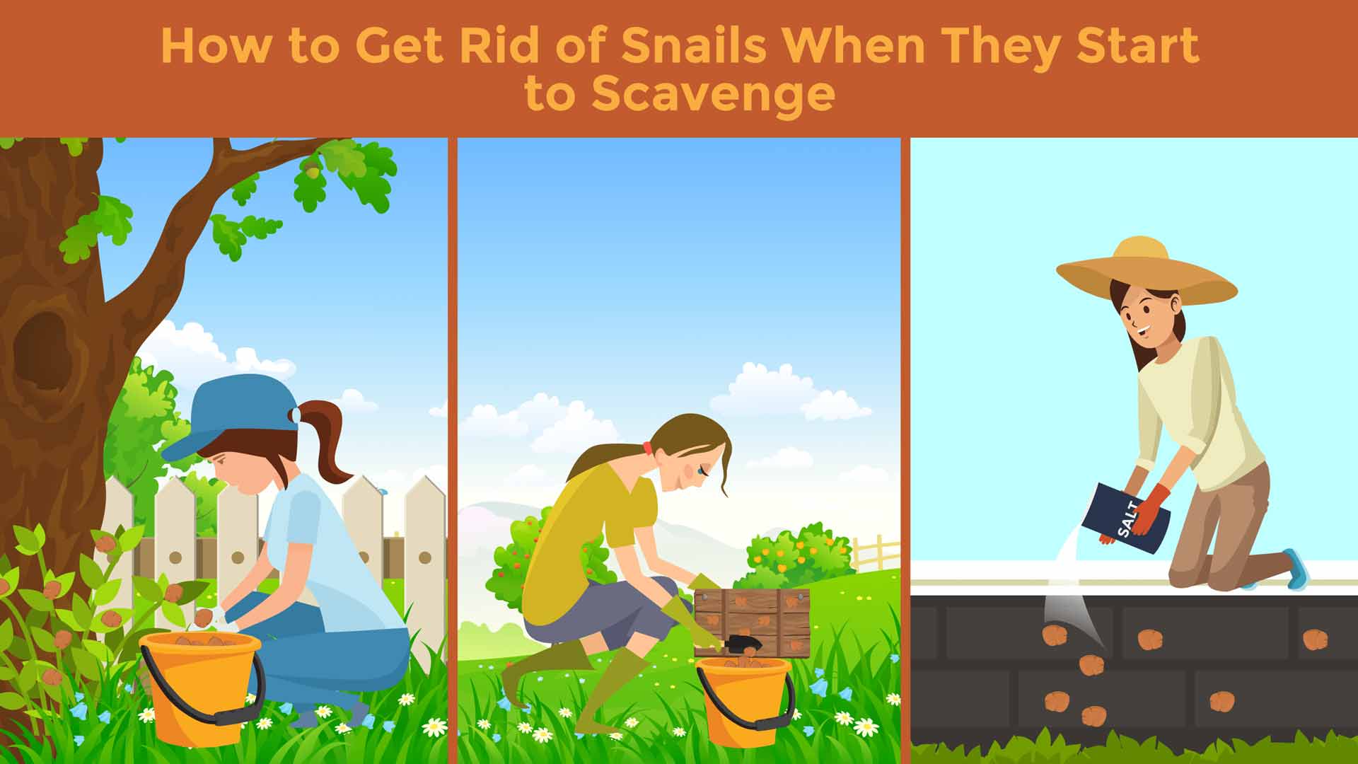 Illustration showcasing three different ways to get rid of snails when you find them in your yard or garden. 