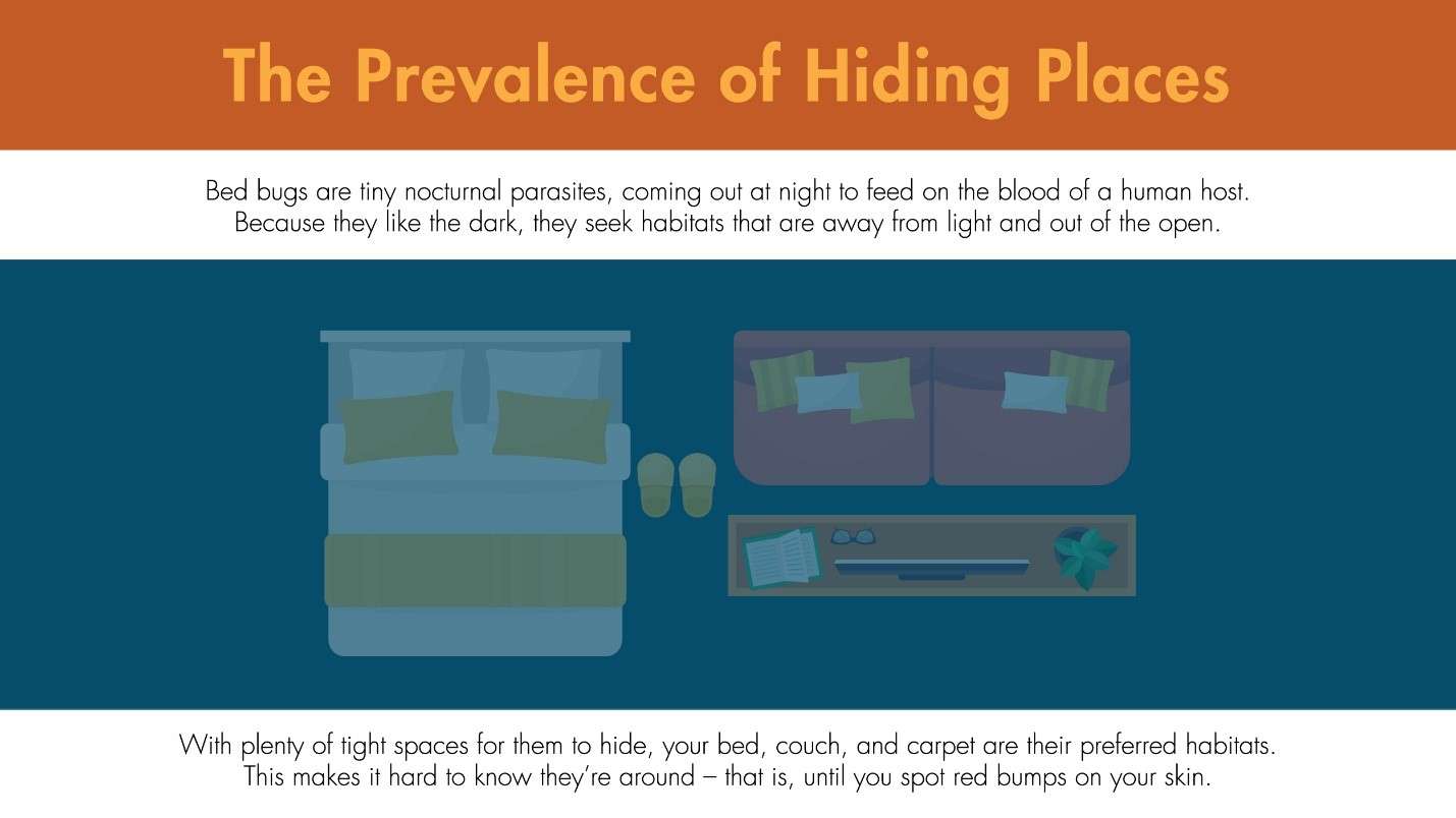 Illustration featuring the places bed bugs reside in inside a home.